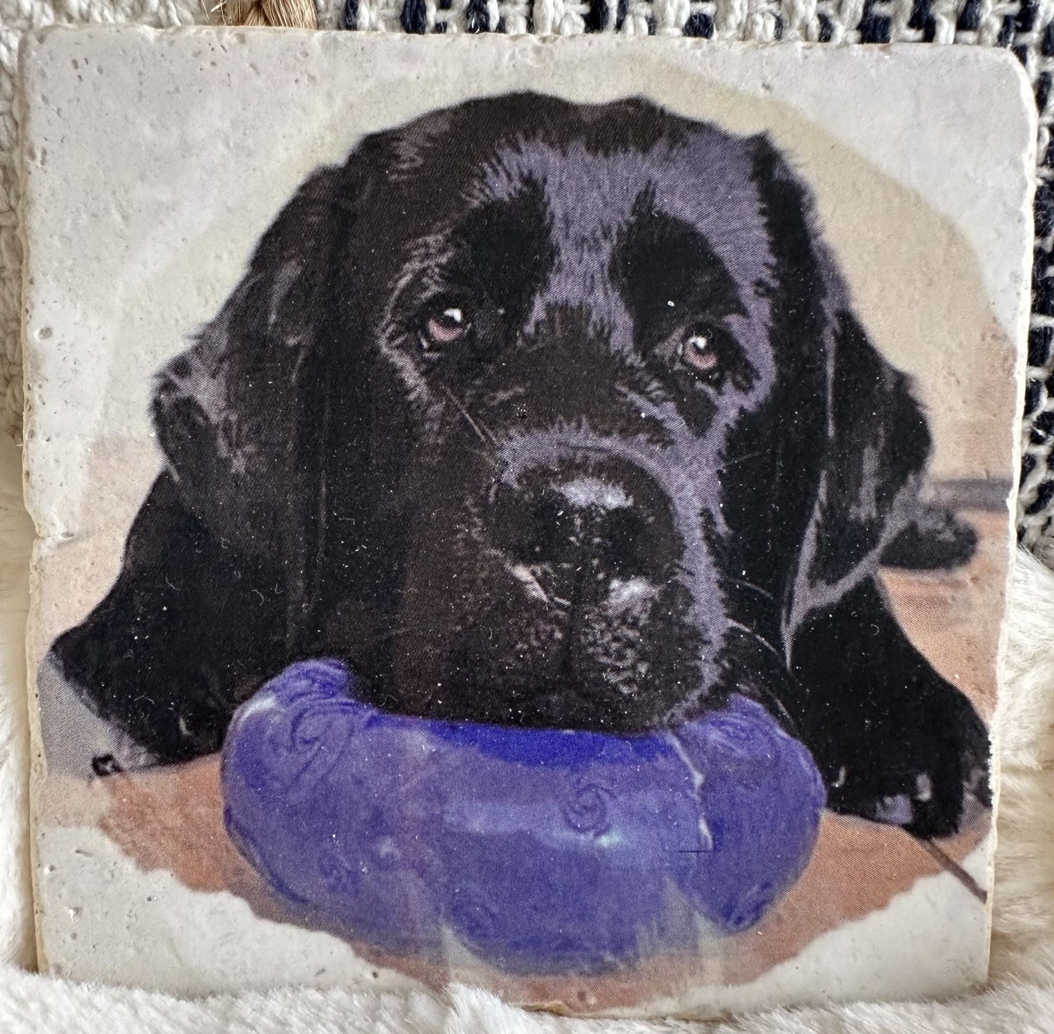 Stone Coasters